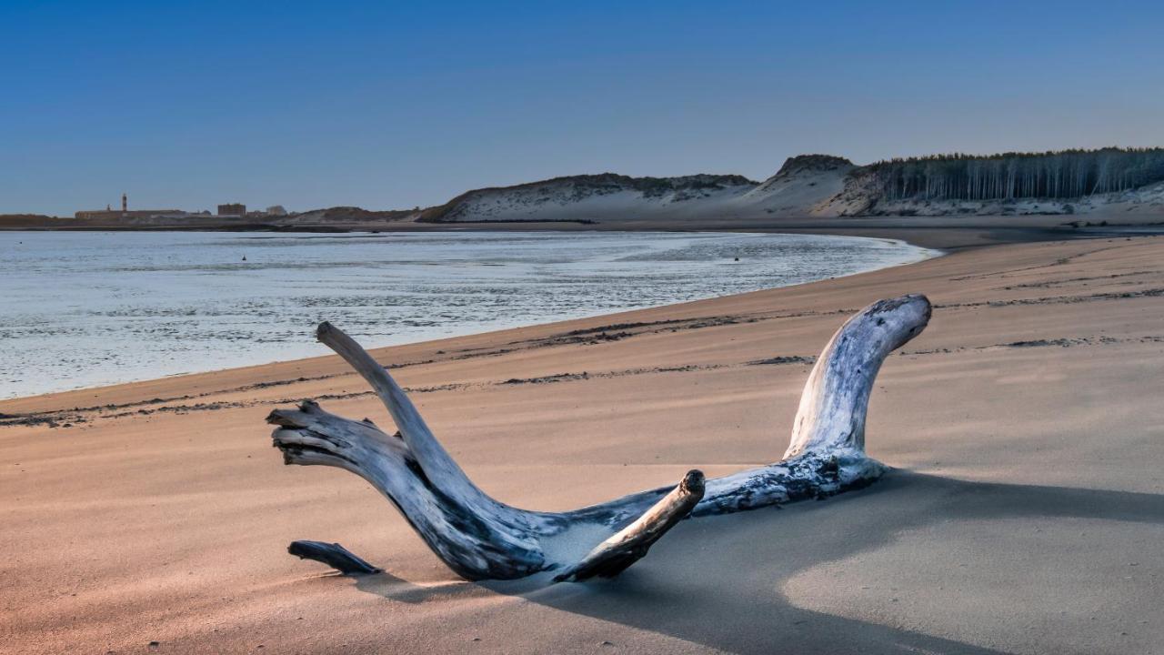 Studio "Les Pieds Dans L'Eau" - 50M Front De Mer Berck المظهر الخارجي الصورة